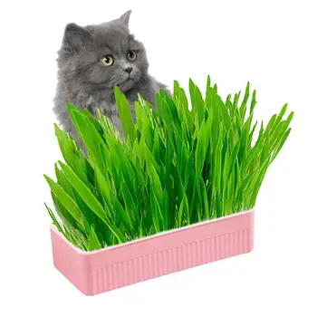 Самополивающийся набор для кошачьей травы Портативная Гидропонная миска для выращивания кошачьих ростков, горшок для выращивания кошачьей травы, средство для проращивания и переваривания пищи для домашних животных